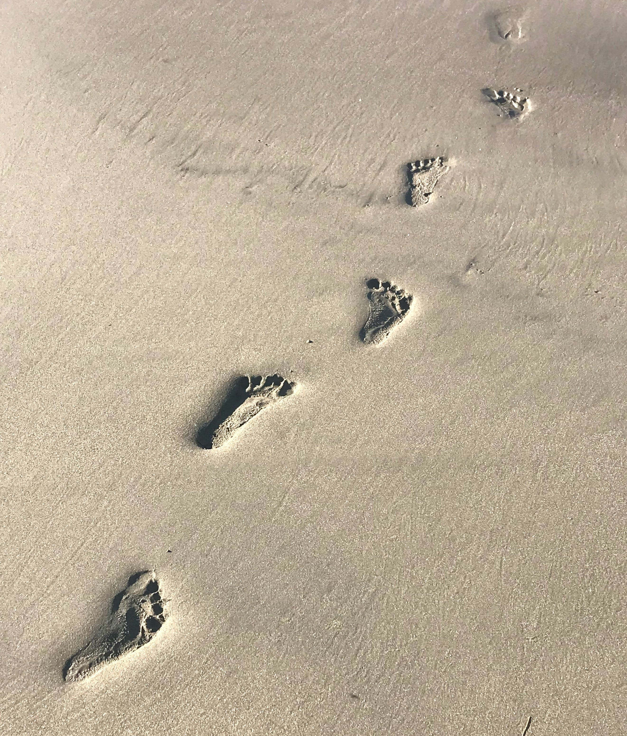 Trace-Making as Creative Practice