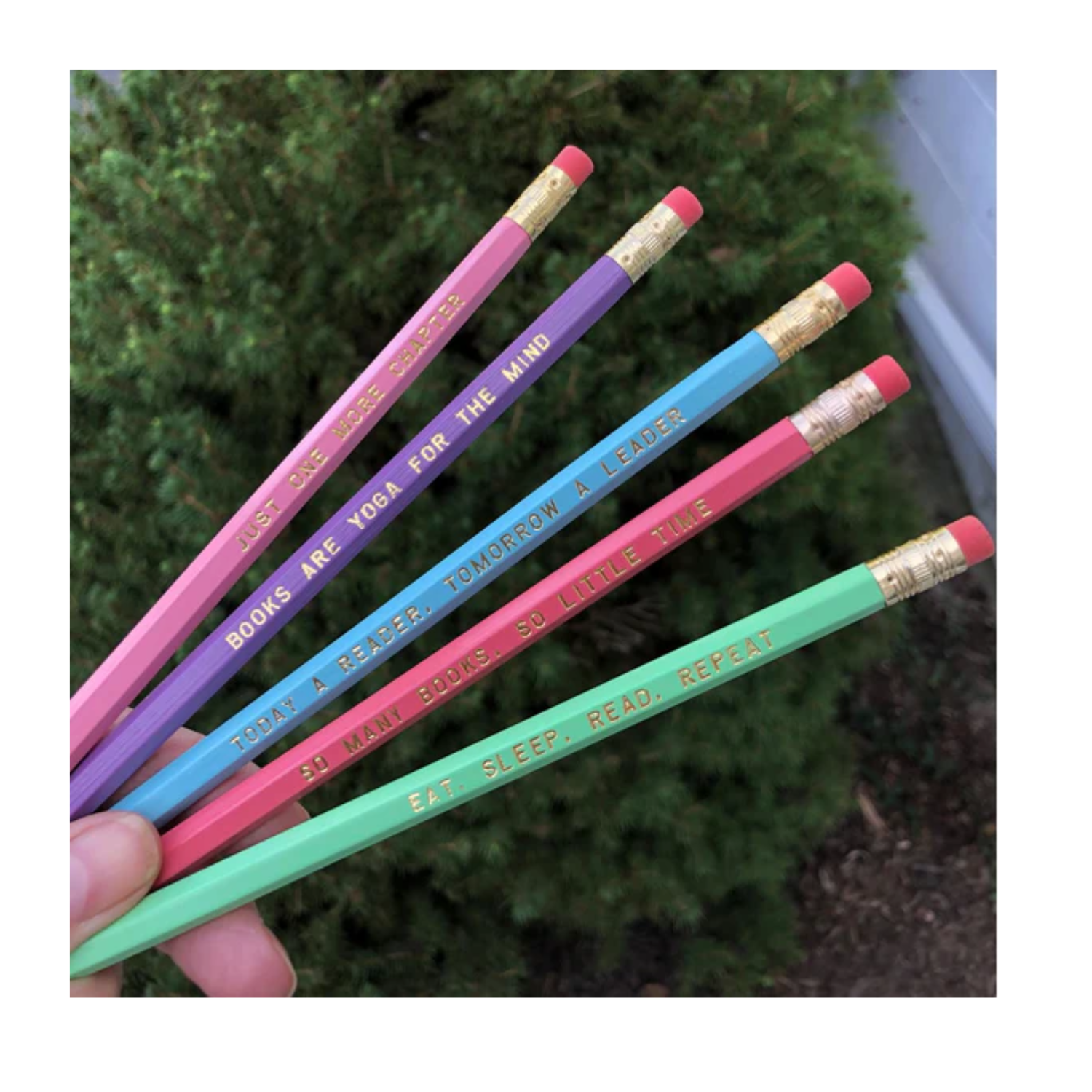 Book Lover Pencil Set