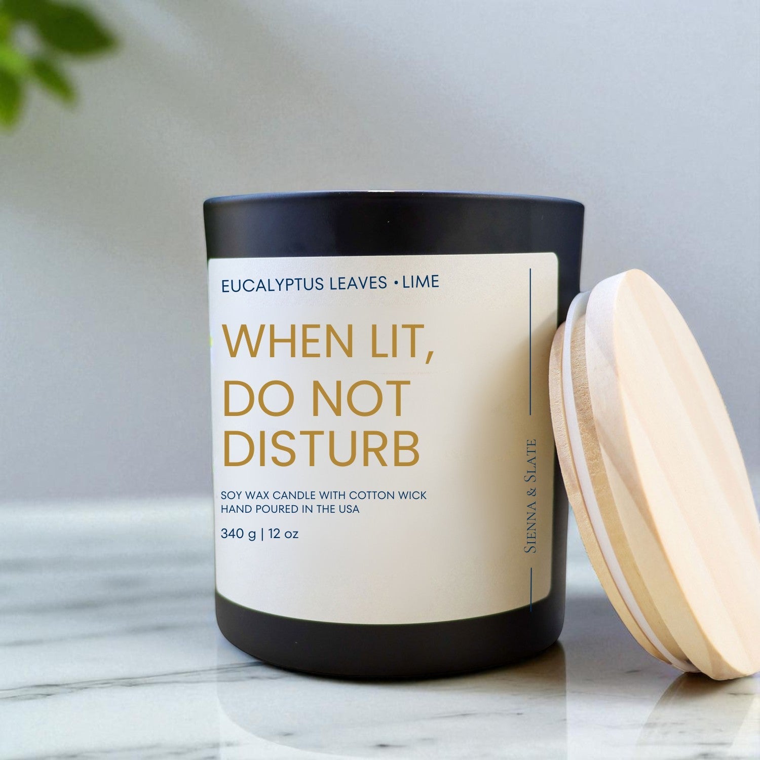 When Lit Do Not Disturb - Sienna & Slate