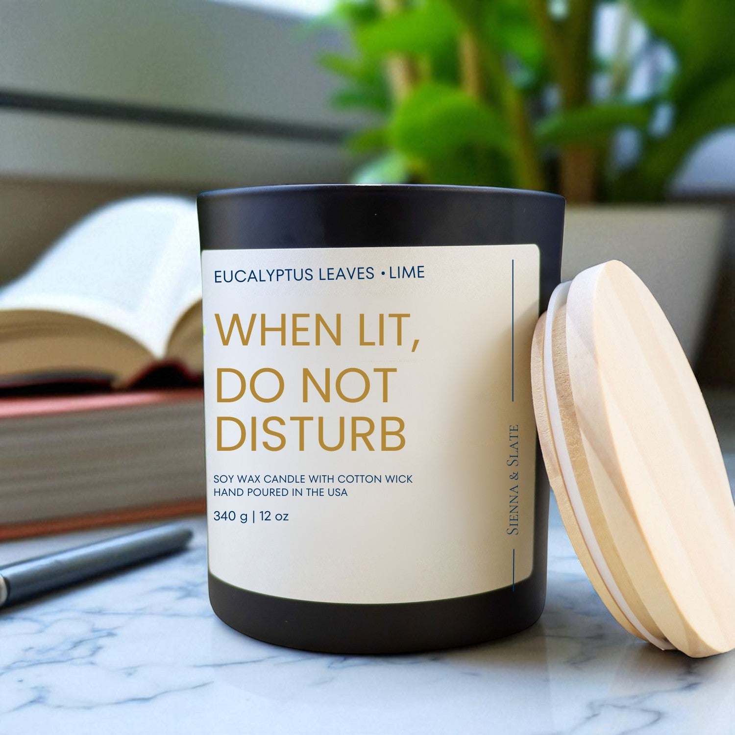 When Lit Do Not Disturb - Sienna & Slate