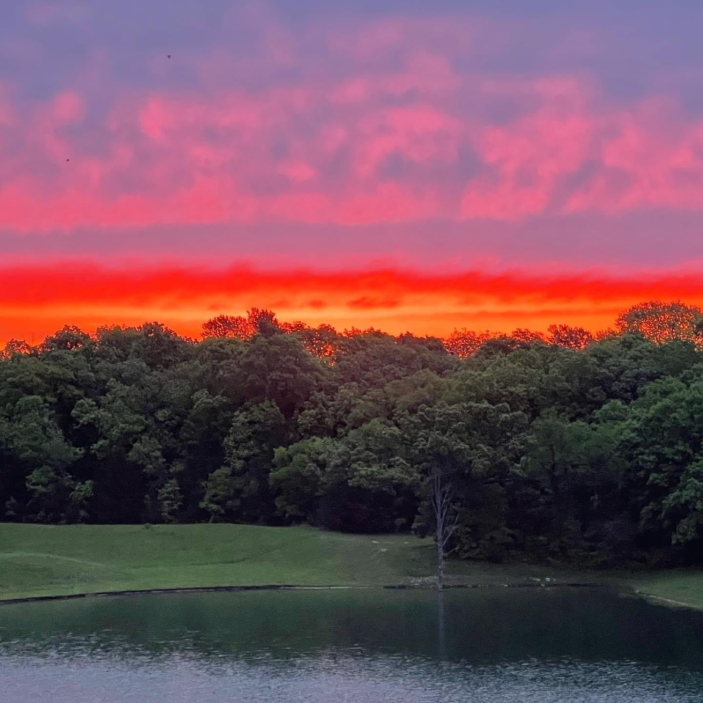 Finding Myself Again: A Summer Story of Academic Healing - Sienna & Slate