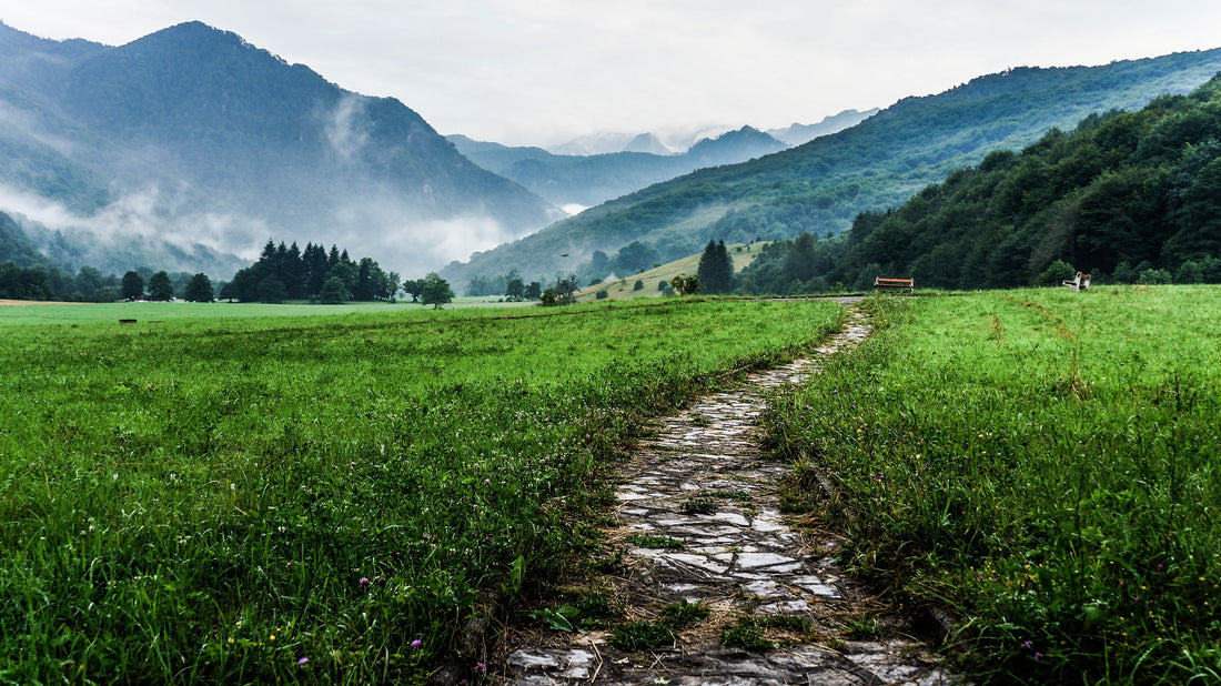 Think Like a Creative: The Power of Small Steps - Sienna & Slate
