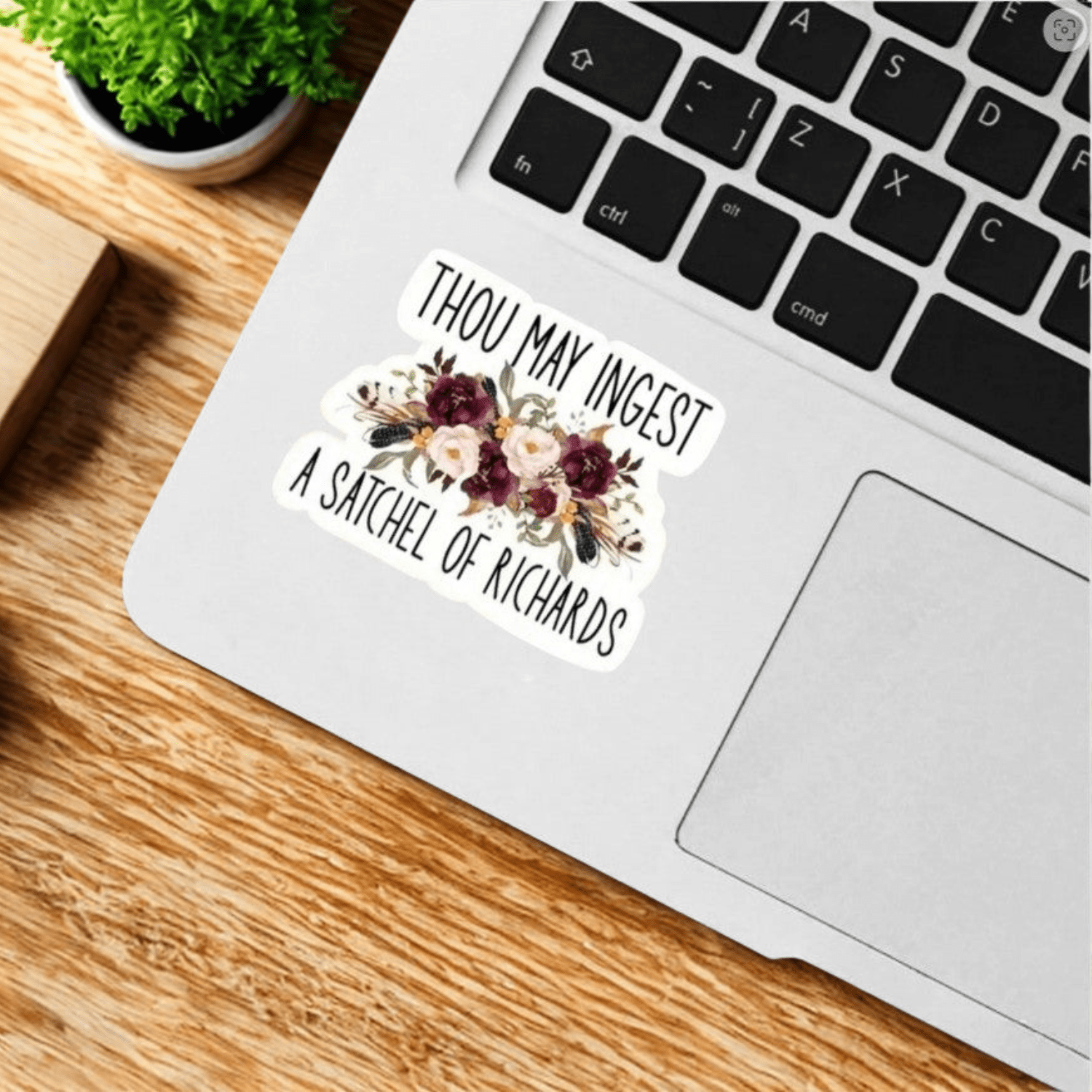 Assorted Stickers- Snarky, Funny, and Bit Too Honest - Sienna & Slate