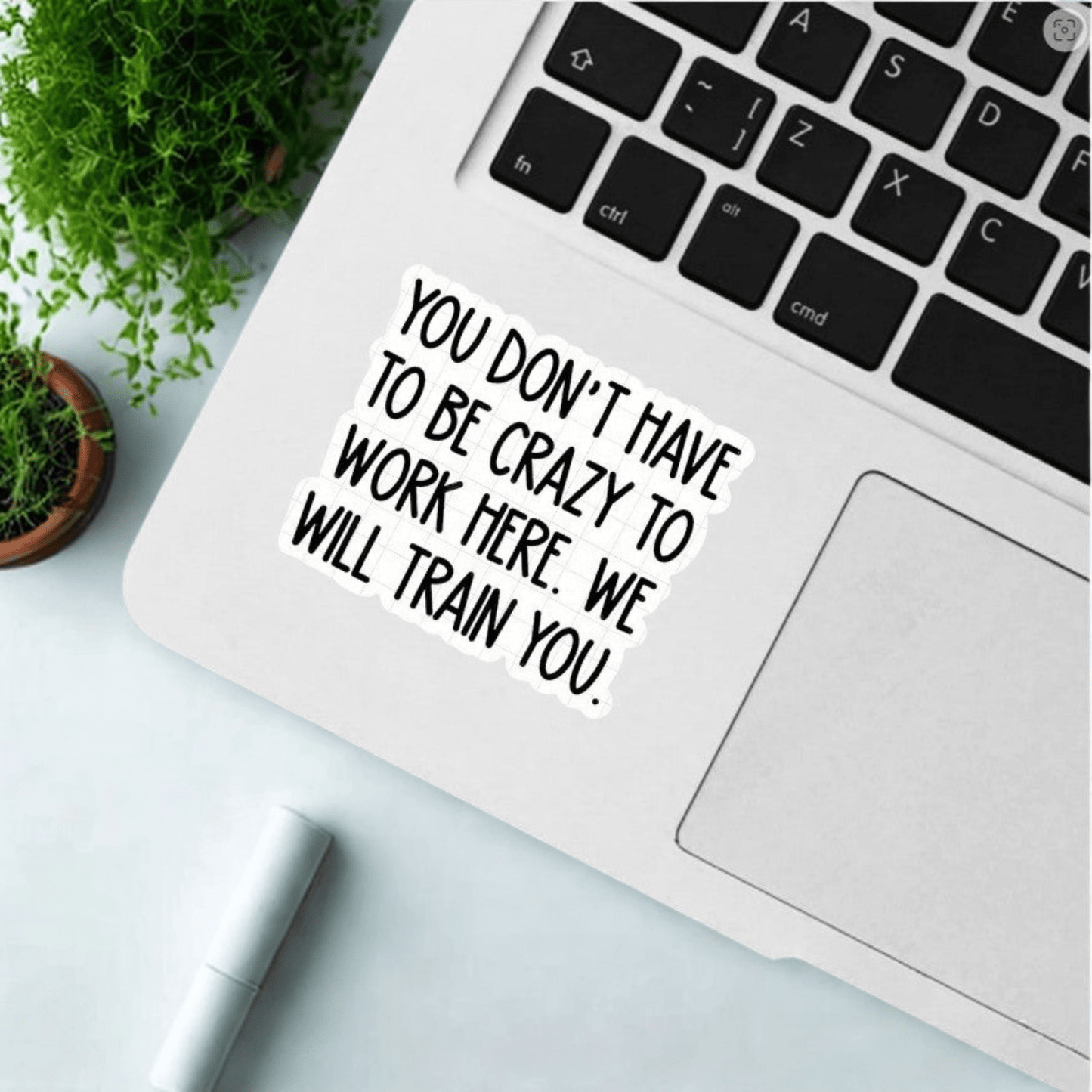 Assorted Stickers- Snarky, Funny, and Bit Too Honest - Sienna & Slate