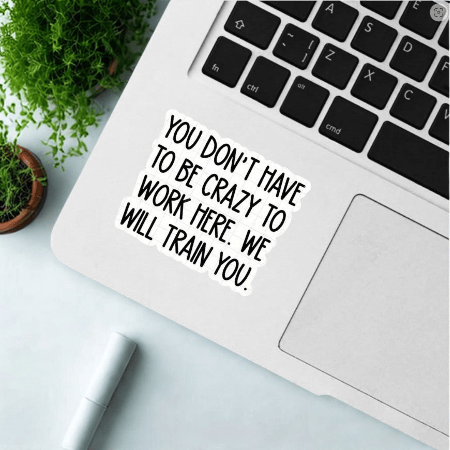 Assorted Stickers- Snarky, Funny, and Bit Too Honest - Sienna & Slate