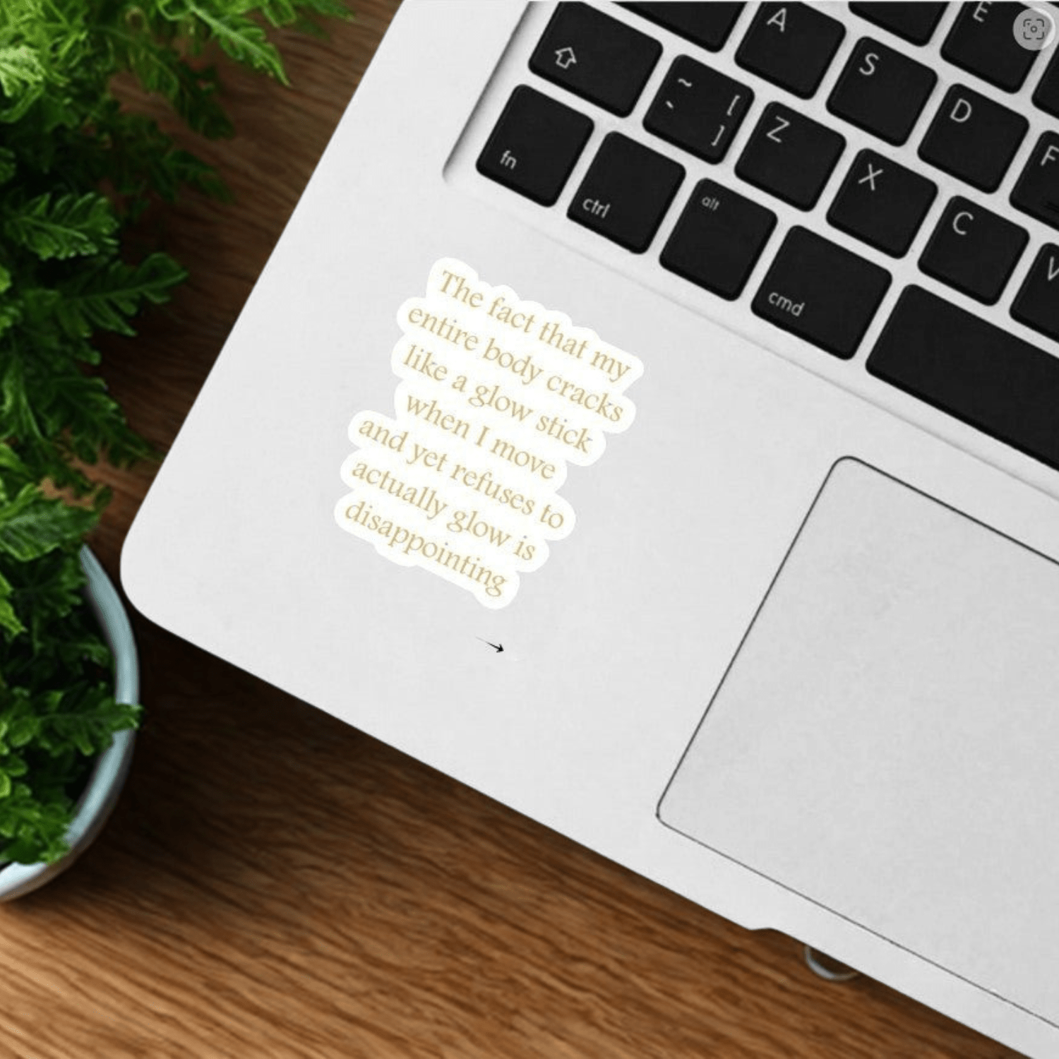 Assorted Stickers- Snarky, Funny, and Bit Too Honest - Sienna & Slate