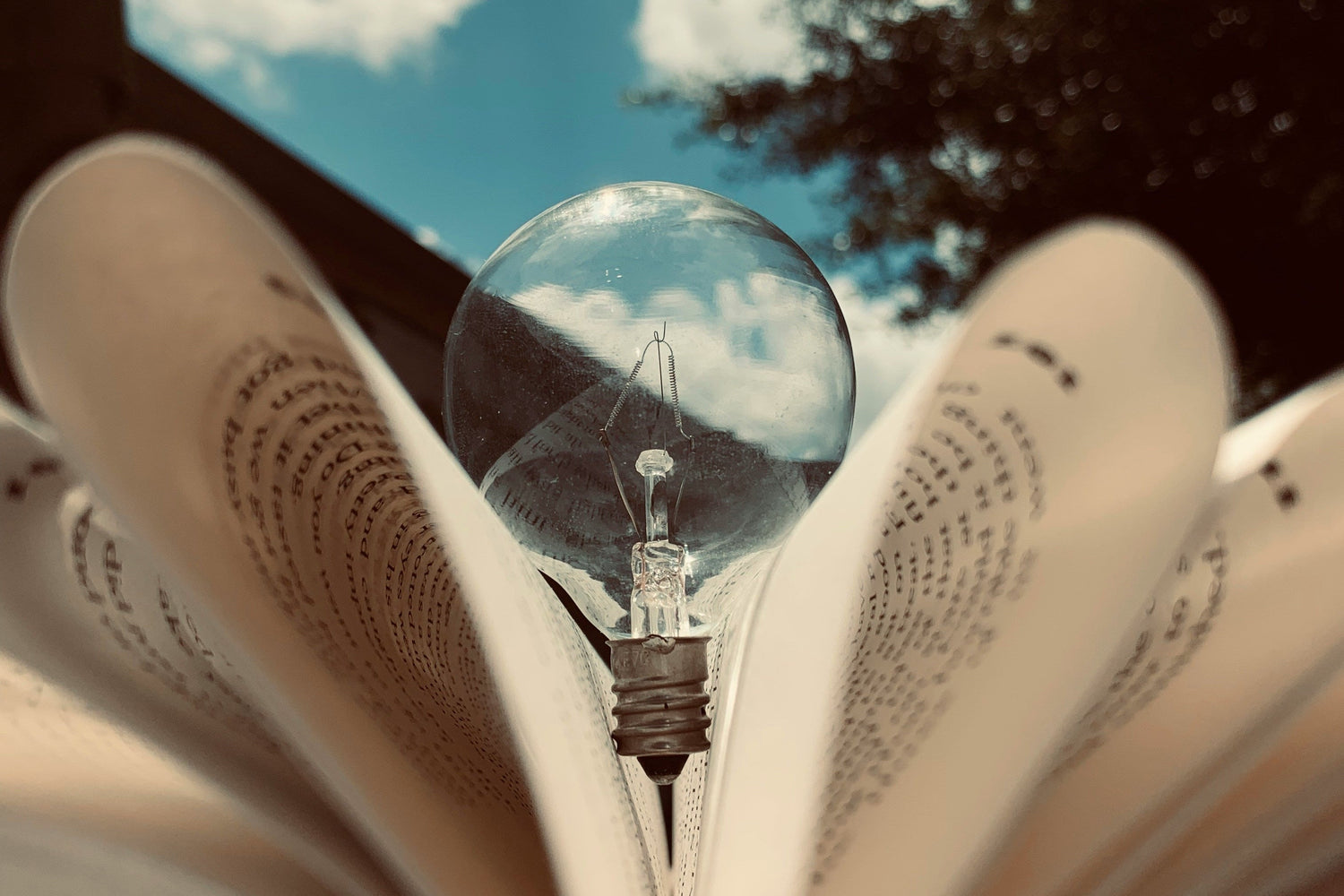 Light bulb inside an open book with a blue sky and clouds in the background