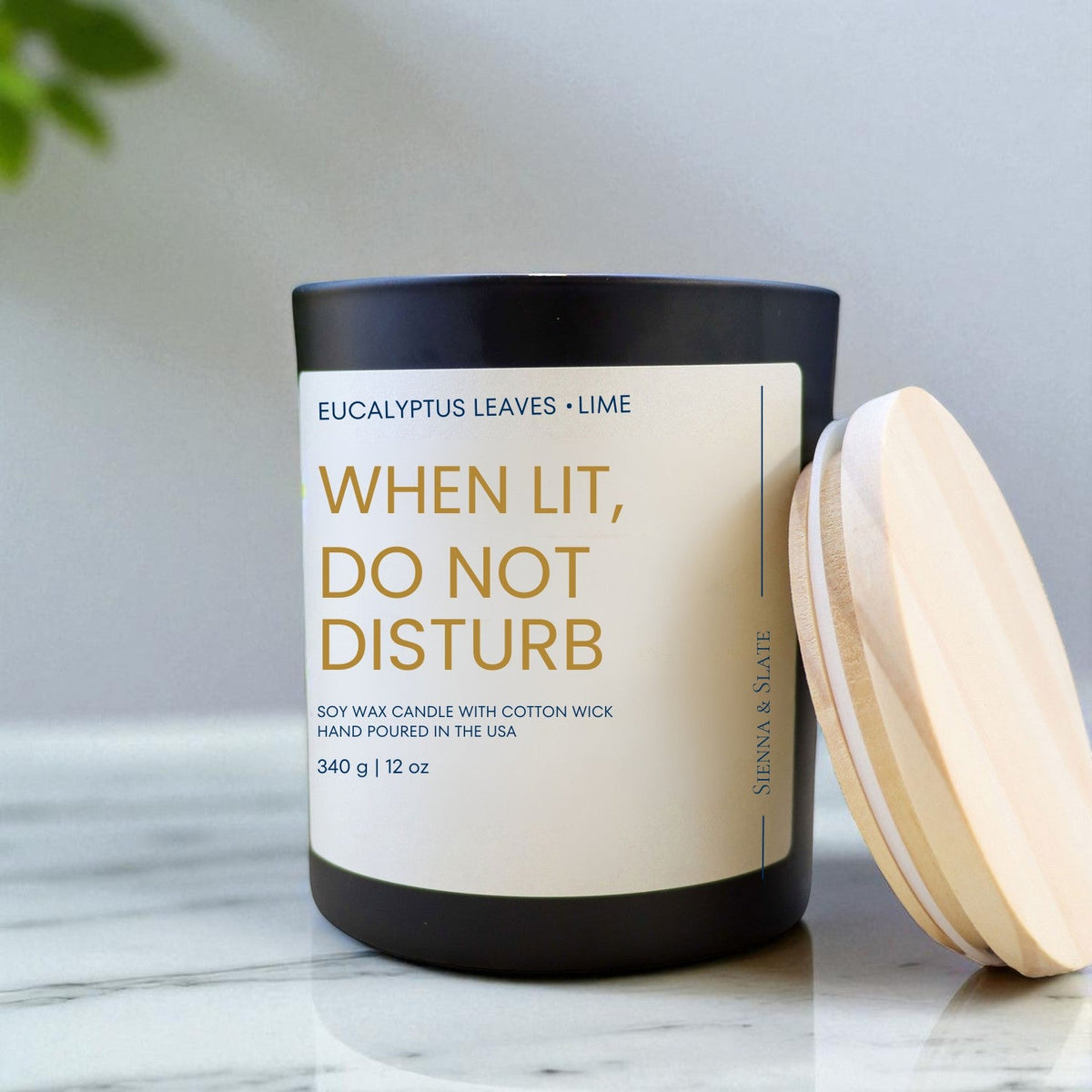 When Lit Do Not Disturb - Sienna & Slate