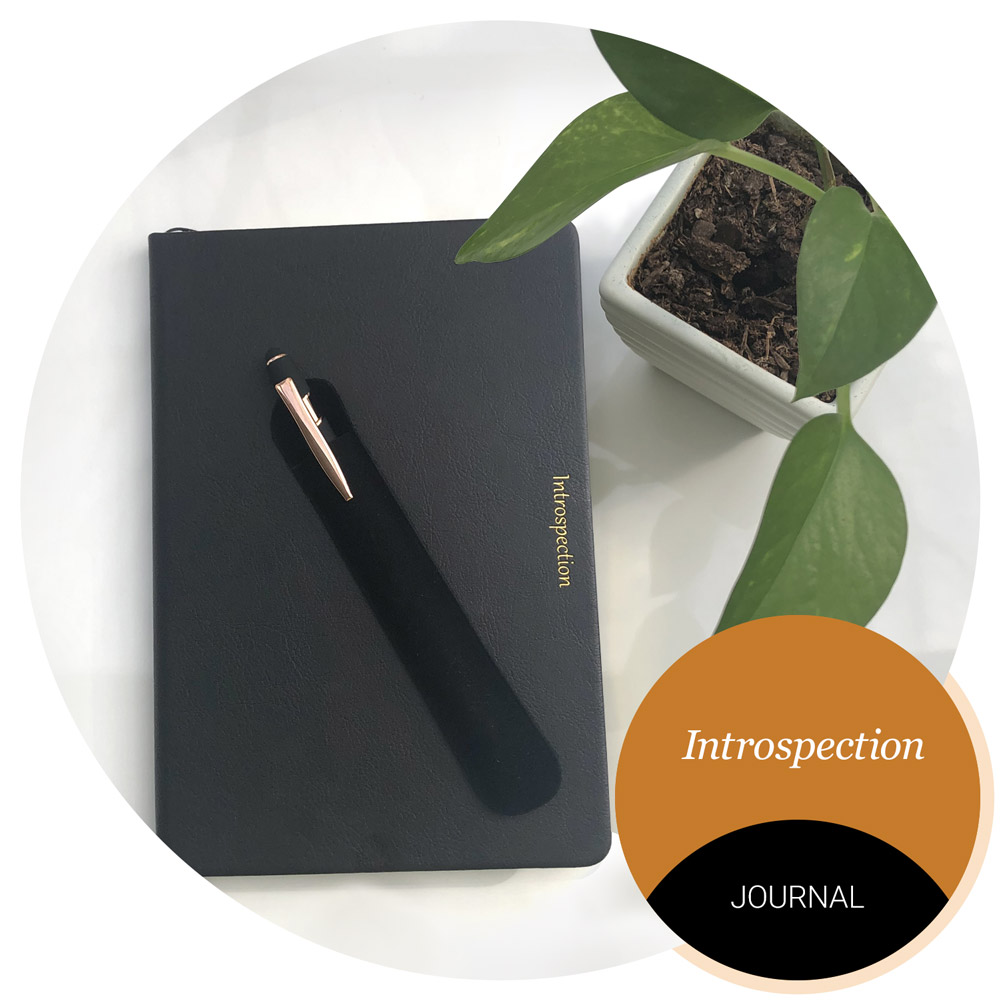 Introspection Journal