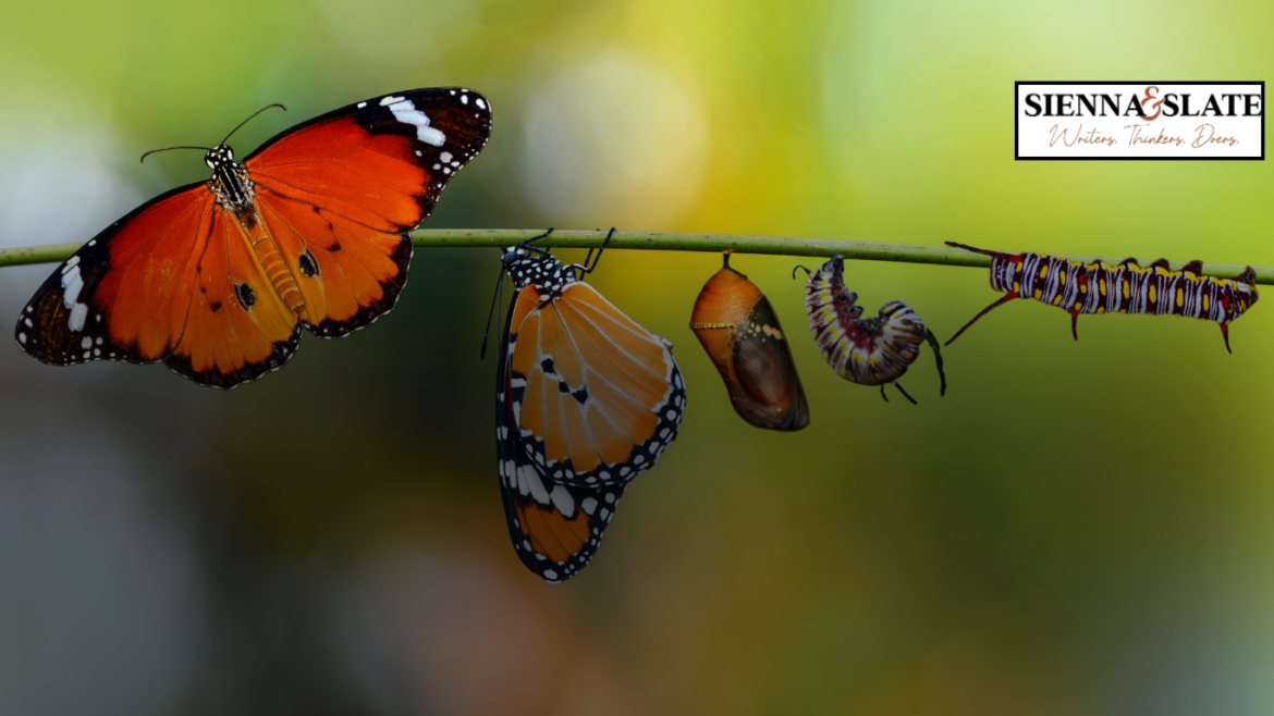The Butterfly Effect: How Transformative Pedagogy Can Spark Change